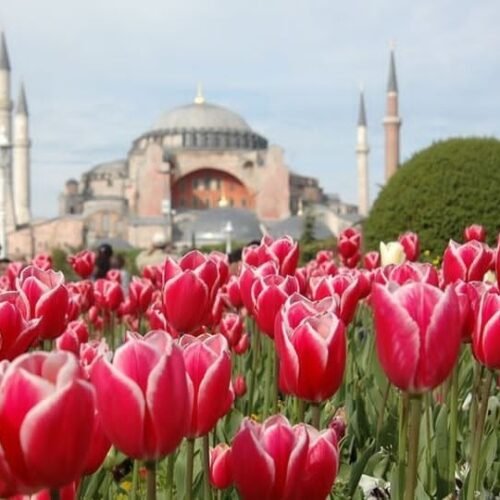 Лалета и ориенталски чар - Истанбул / 2 нощувки в 5* хотел WISH MORE