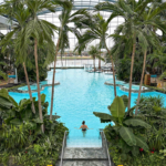 %d1%81%d0%be%d0%bb%d0%bd%d0%b0-%d0%bc%d0%b8%d0%bd%d0%b0-%d1%83%d0%bd%d0%b8%d1%80%d0%b5%d0%b0-%d0%b1%d1%83%d0%ba%d1%83%d1%80%d0%b5%d1%89-%d1%81%d0%bf%d0%b0-%d1%82%d0%b5%d1%80%d0%bc