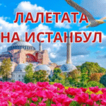 %d1%84%d0%b5%d1%81%d1%82%d0%b8%d0%b2%d0%b0%d0%bb-%d0%bd%d0%b0-%d0%bb%d0%b0%d0%bb%d0%b5%d1%82%d0%be-%d0%b2-%d0%b8%d1%81%d1%82%d0%b0%d0%bd%d0%b1%d1%83%d0%bb-2026