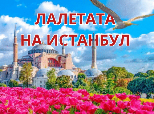 лалета инстамбул ФЕСТИВАЛ НА ЛАЛЕТО В ИСТАНБУЛ 2026