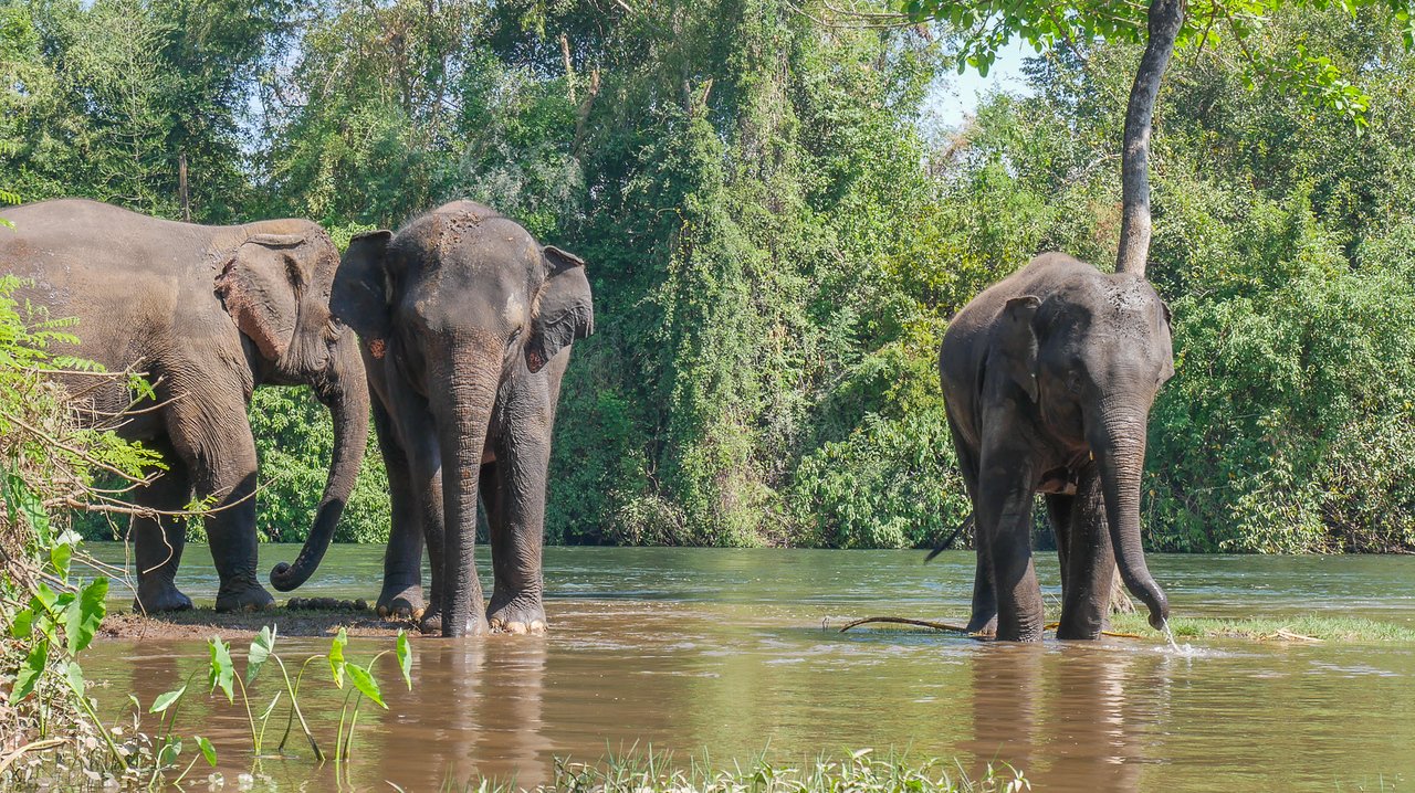 Екзотичен Тайланд: Банкок и Патая – Храмове, Плажове и 5-звезден Лукс 🌴🐘 - Image 12