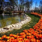 %f0%9f%8c%b7-%d1%84%d0%b5%d1%81%d1%82%d0%b8%d0%b2%d0%b0%d0%bb%d1%8a%d1%82-%d0%bd%d0%b0-%d0%bb%d0%b0%d0%bb%d0%b5%d1%82%d0%be-%d0%b2-%d0%b8%d1%81%d1%82%d0%b0%d0%bd%d0%b1%d1%83%d0%bb-%d0%be%d0%b4%d1%80