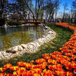 %f0%9f%8c%b7-%d1%84%d0%b5%d1%81%d1%82%d0%b8%d0%b2%d0%b0%d0%bb%d1%8a%d1%82-%d0%bd%d0%b0-%d0%bb%d0%b0%d0%bb%d0%b5%d1%82%d0%be-%d0%b2-%d0%b8%d1%81%d1%82%d0%b0%d0%bd%d0%b1%d1%83%d0%bb-%d0%be%d0%b4%d1%80