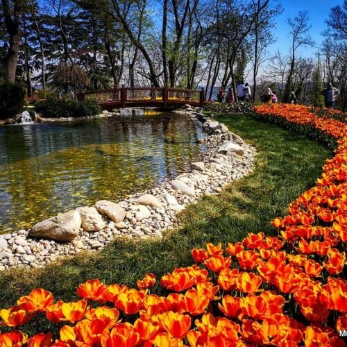 🌷 Фестивалът на лалето в Истанбул + Одрин