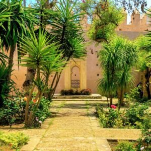 %d0%b5%d0%ba%d1%81%d0%ba%d1%83%d1%80%d0%b7%d0%b8%d1%8f-%d0%b2-%d0%bc%d0%b0%d1%80%d0%be%d0%ba%d0%be-%d0%bf%d1%80%d0%b8%d0%ba%d0%bb%d1%8e%d1%87%d0%b5%d0%bd%d0%b8%d0%b5-%d0%b8%d0%b7-%d0%be%d1%80%d0%b8