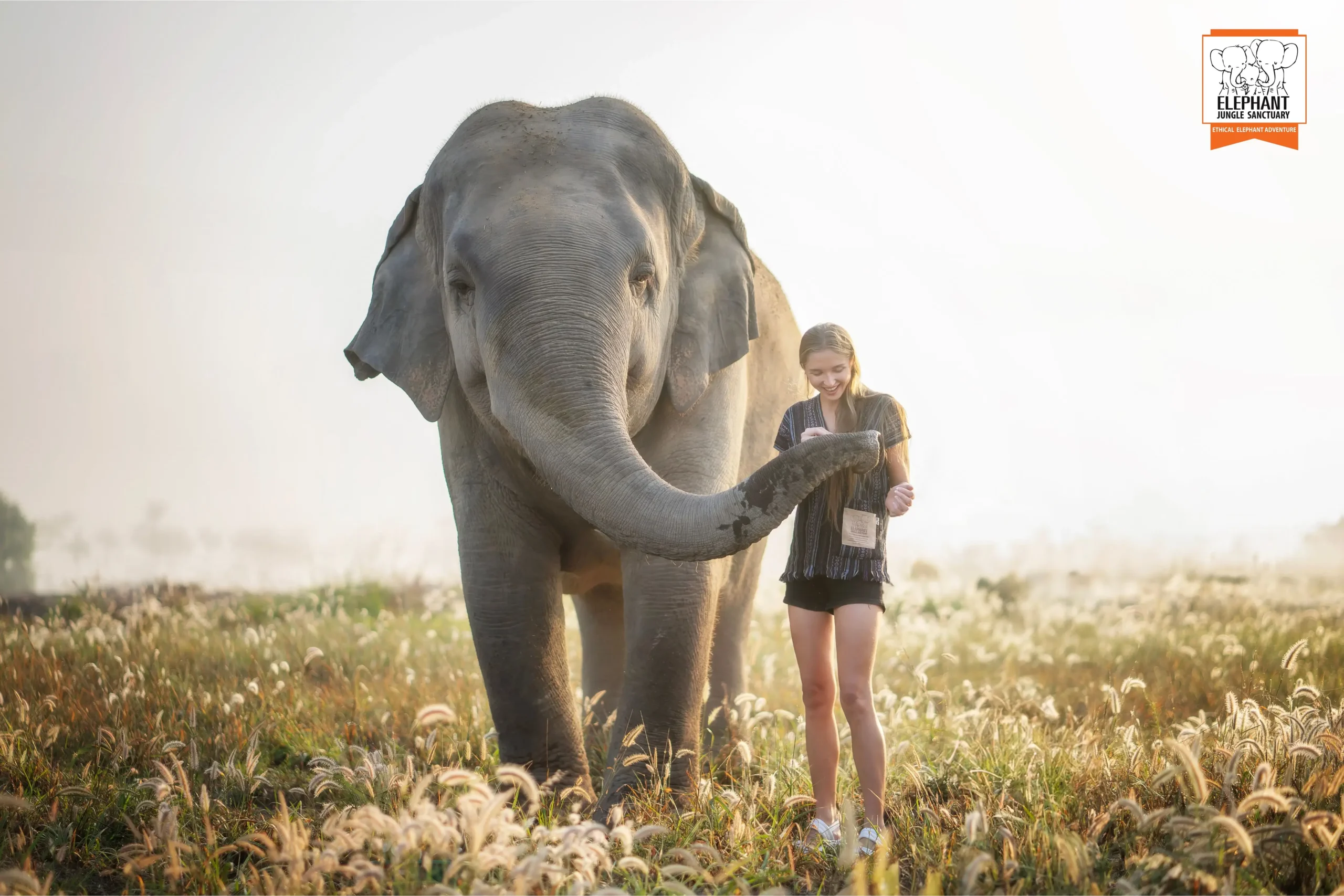 Златните храмове на Сиам и Тюркоазеният бряг на Патая: 5★ Лукс в Тайланд 👑💎 - Image 7