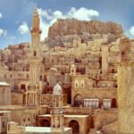 %d0%bc%d0%b5%d1%81%d0%be%d0%bf%d0%be%d1%82%d0%b0%d0%bc%d0%b8%d1%8f-%d1%81%d1%8a%d1%80%d1%86%d0%b5%d1%82%d0%be-%d0%bd%d0%b0-%d0%b4%d1%80%d0%b5%d0%b2%d0%bd%d0%b8%d1%8f-%d1%81%d0%b2%d1%8f%d1%82